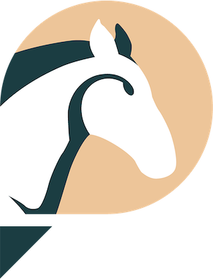 ERI Consulting